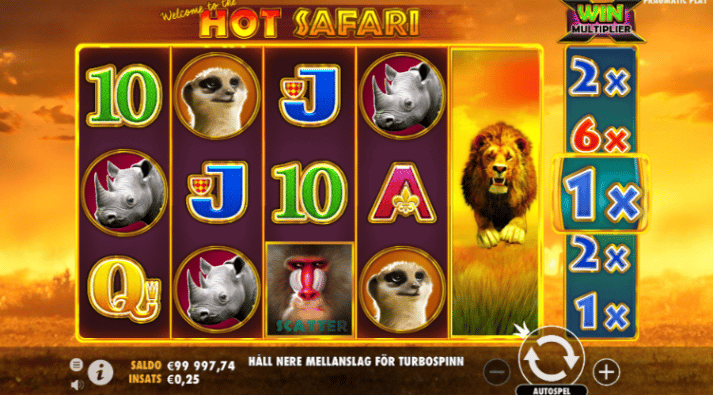 Hot Safari