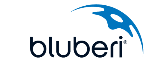 bluberi gaming